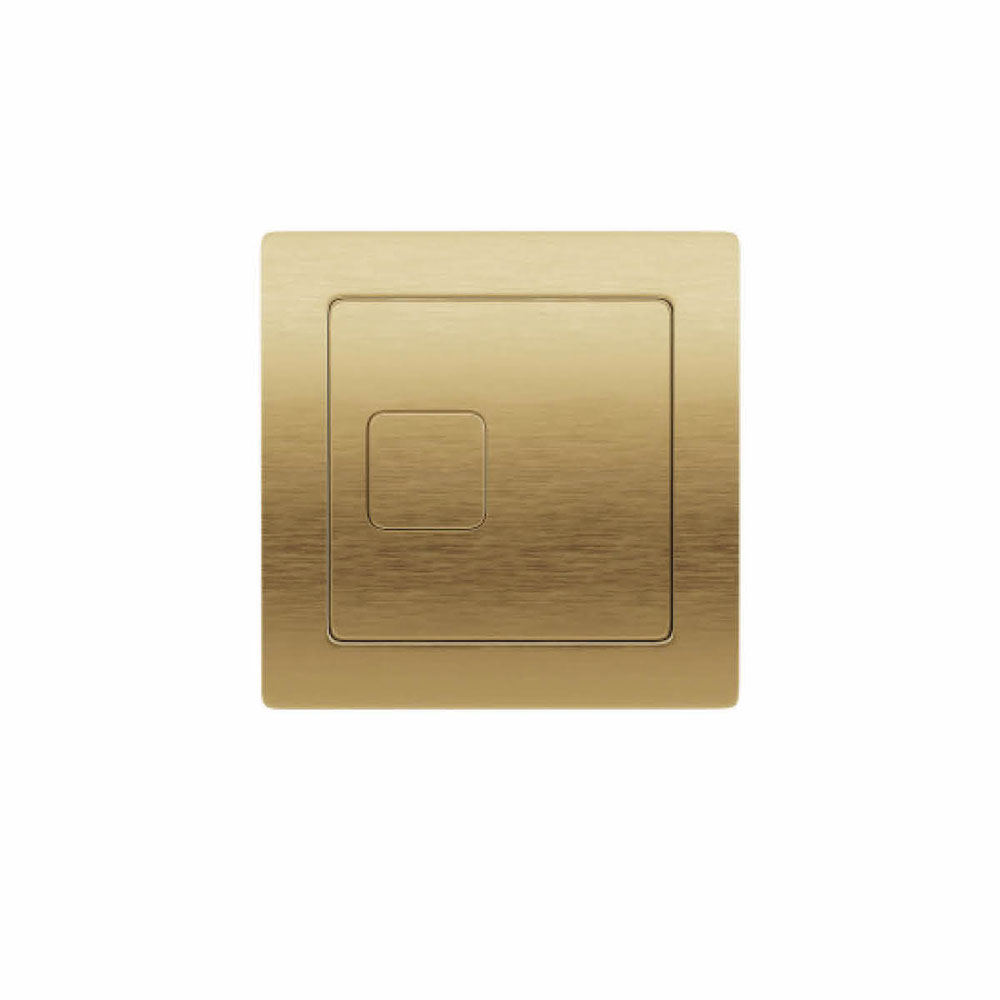 Brushed Brass Dual Flush Button