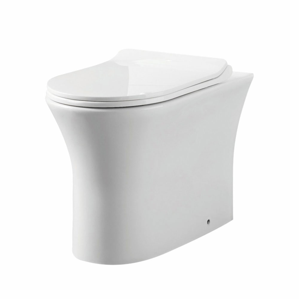 Dea Rimless Comfort Height Back To Wall Pan & Soft Clsoe Seat