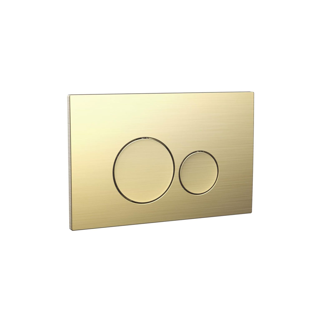 Round Brushed Brass Dual Flush Button
