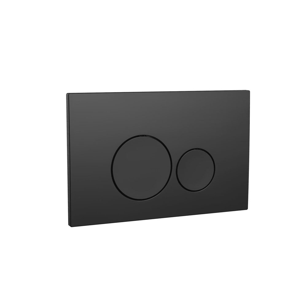 Round Black Dual Flush Button
