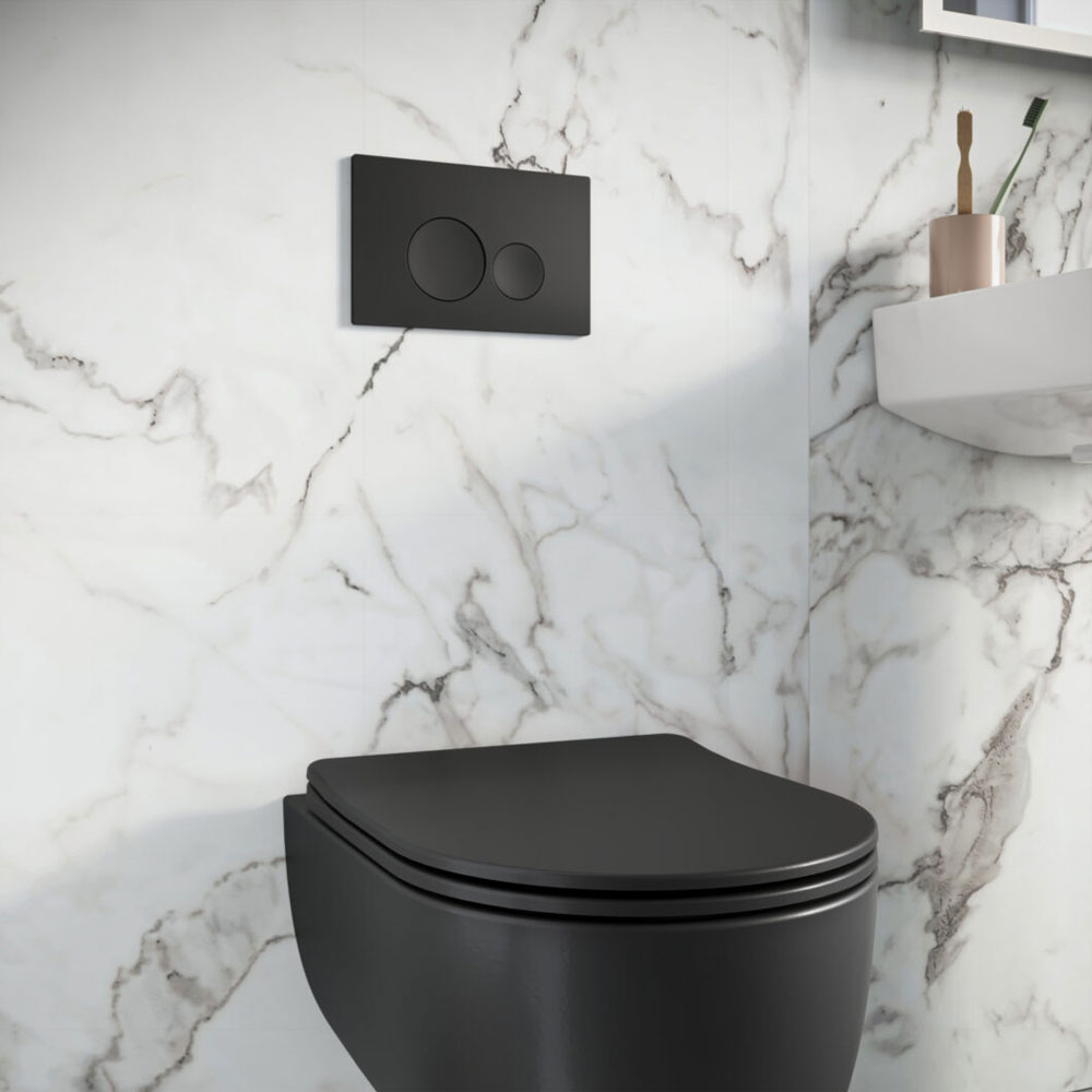 Rivera Rimless Round Wall Hung Pan Including Soft Close Seat - Gloss White 