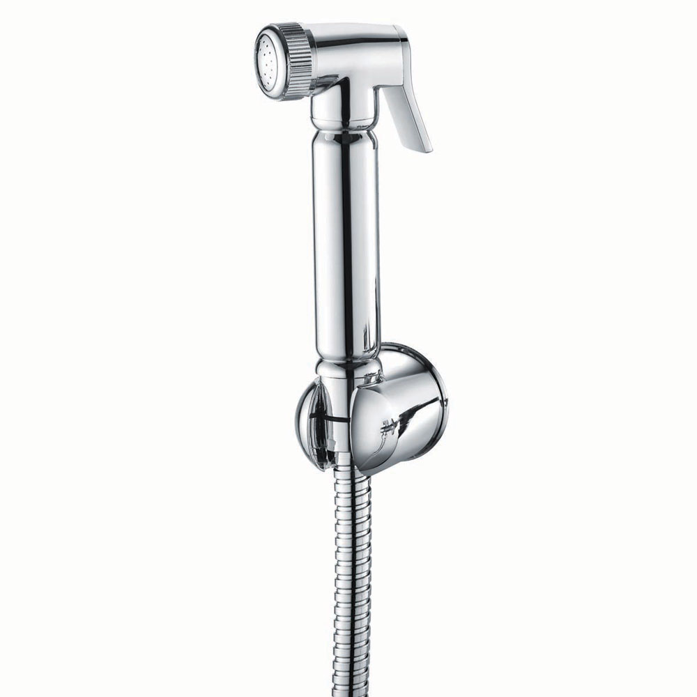 Chrome Douche Handset, Flexi & Holder